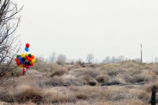 photo: large bunch of colorful balloons snagged on some scrub brush in the wide-open desert.