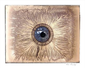 art: large blue eyeball looking out from the center of a dirty, grungy pattern reminiscent of erosion and foul flooding