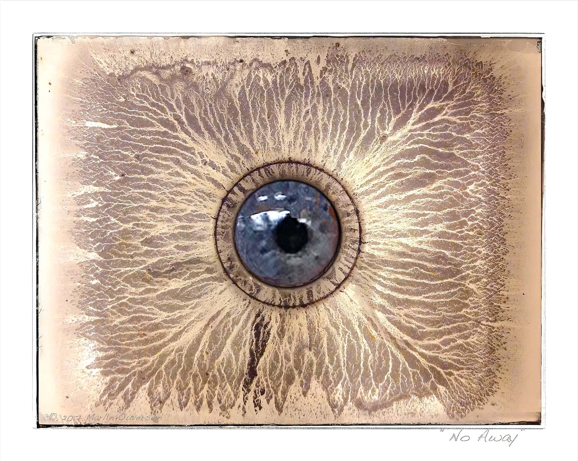 art: large blue eyeball looking out from the center of a dirty, grungy pattern reminiscent of erosion and foul flooding